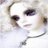 fautabcale's profile image