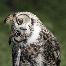 maubarsom's profile picture. f(mau) ~ data_sci + music + ε . Currently Data Scientist @DefinitiveHC.