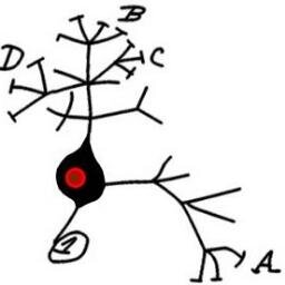 A new group blog on animal behavior, its mechanisms and their evolution. Coming Feb. 2014.