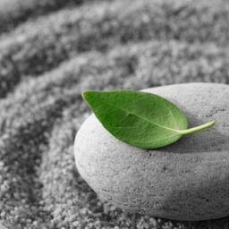 Finding ways to induce More Alpha Waves through #Meditation #Tea  #Mindfulness  #Yoga  etc...