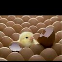 @علاوي الحربي (@055403563221) Twitter