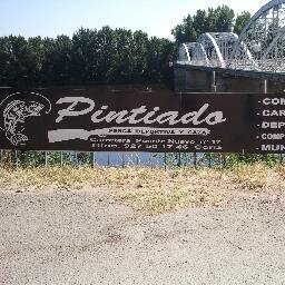 Especialistas en competición,carpfishing y depredador!!!