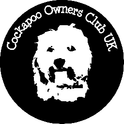The Cockapoo Owners Club UK - providing an informative and fun club for Cockapoo Owners in the UK.