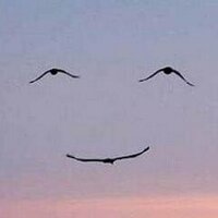 cal (@calcifer1227) 's Twitter Profile