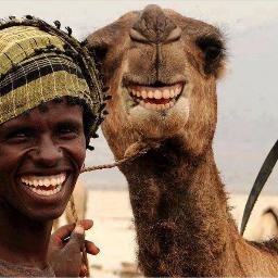 Landrykodjo's profile picture. 