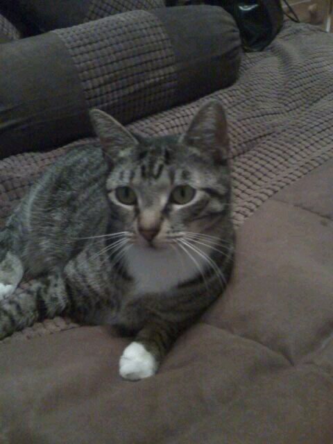 SDWalters1963's profile picture. 