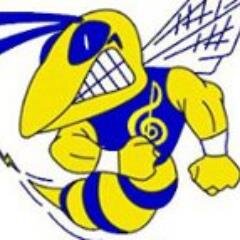 Supports the Saline Music Program - 5th through 12th grade. Enriching lives through music!