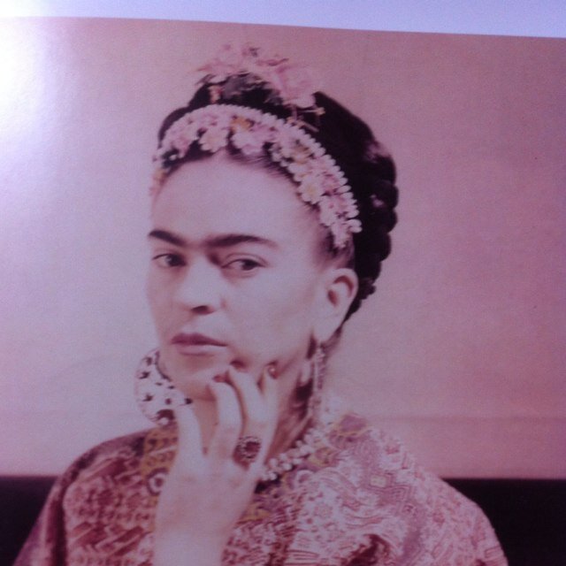 libelulamalu's profile picture. 