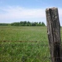 Bruce Cnty Fed of Ag (@brucefed) 's Twitter Profile