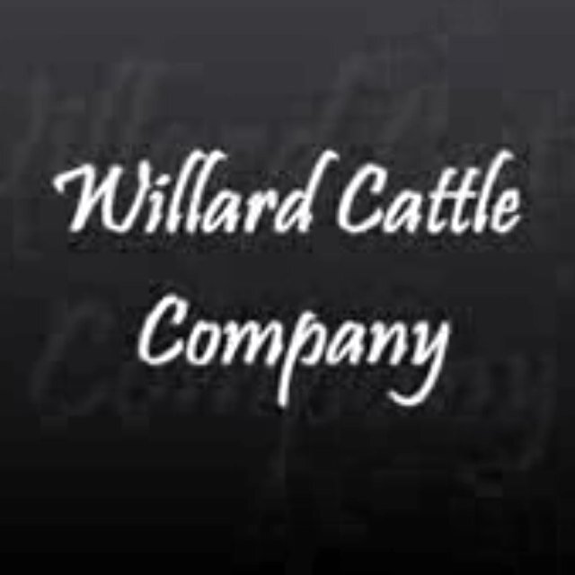 WILLARDFARMS's profile picture. the loin and tiger may be more powerful, but the wolf never performs in the circus!