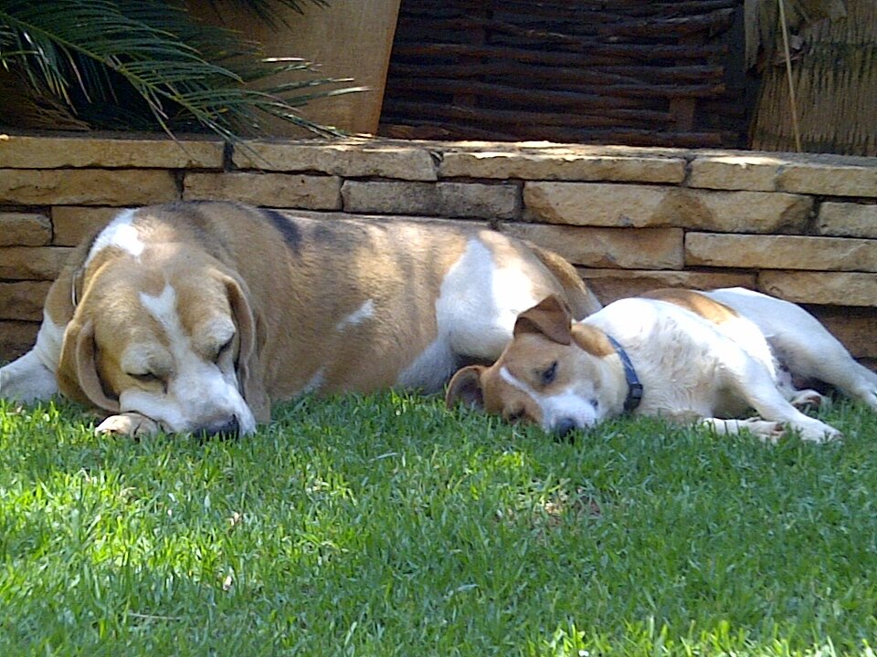 bole381's profile picture. 