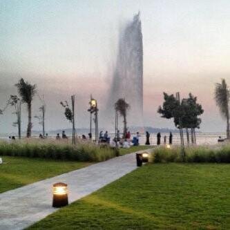 shatha_alamri's profile picture. 