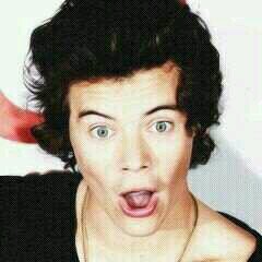 Boydirectioner e boylieber