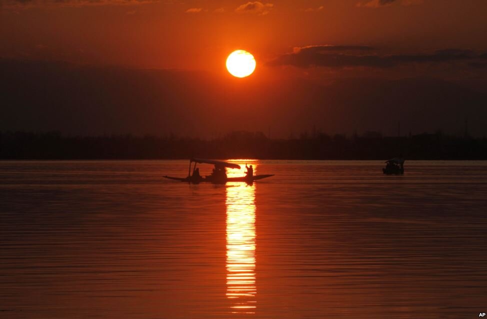 cell256's profile picture. 