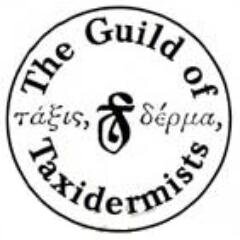 The Guild of Taxidermists was founded in 1976 to raise, maintain and improve the standard and status of taxidermy in the UK.  Membership is open to all.