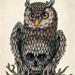 #DreamGrup #Potterhead  #Directioner #Kemalist #Beşiktaşlı #Baterist