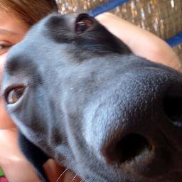 johnyboss's profile picture. 