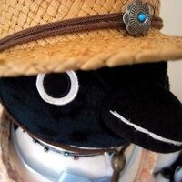 UG (@rocomotion) 's Twitter Profile