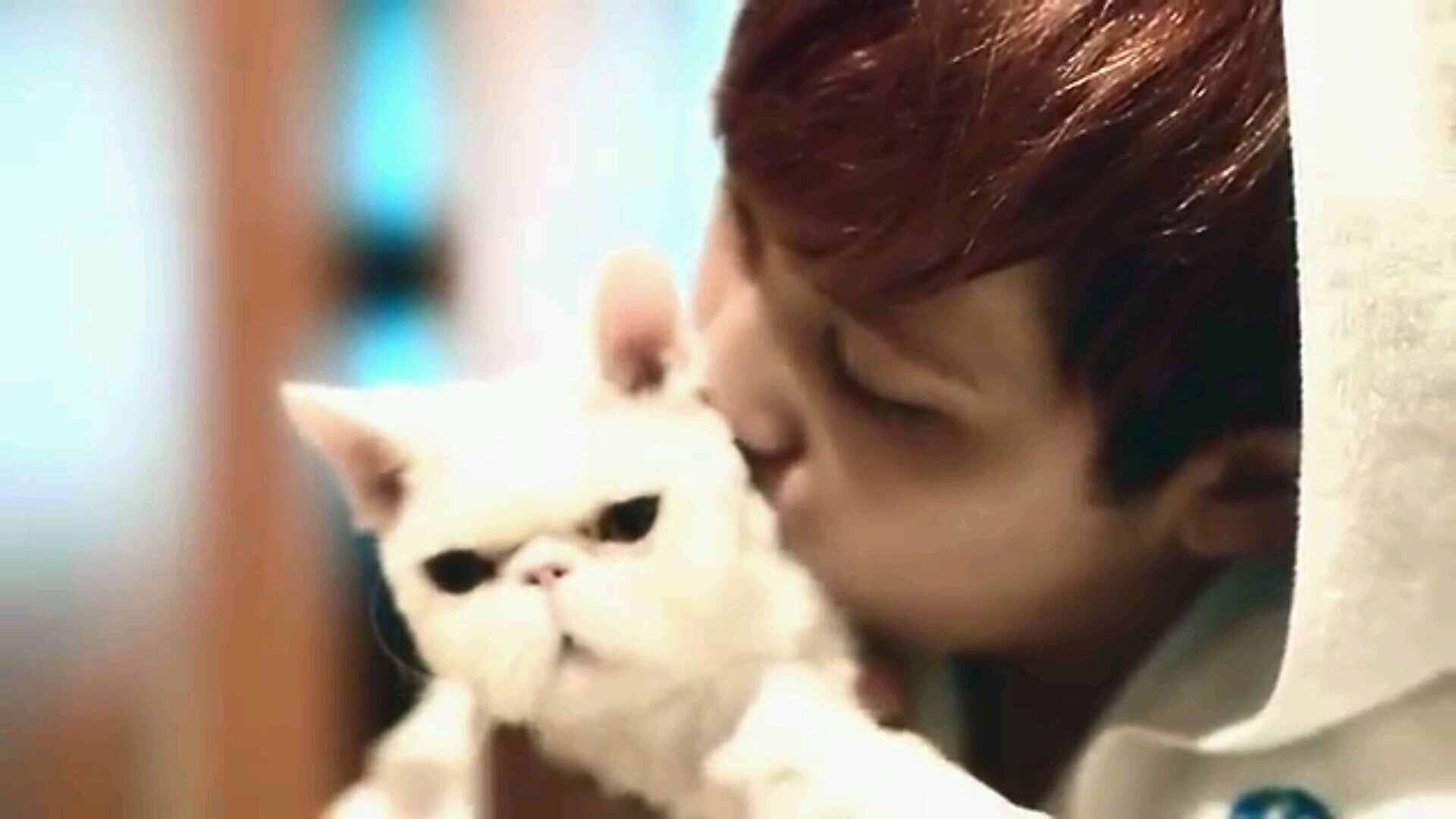 CNBLUE  FTISLAND   96(95)line                                          ぽろ☞@ちゅせよ