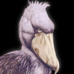 じんべーざめたろうさんのプロフィール画像