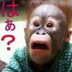 新バカップルの会話 Bacouple Bot Twitter 新バカップルの会話 Bacouple Bot Twitter