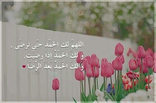 ‏‏‏‏‏‏‏‏طالبة في جامعة الامام