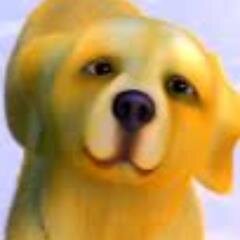 Woof~(I'm Prince! I'm a royal dog now belonging to @KamuraSisterA. She rescued me when I was younger and I owe my life to her) #Single