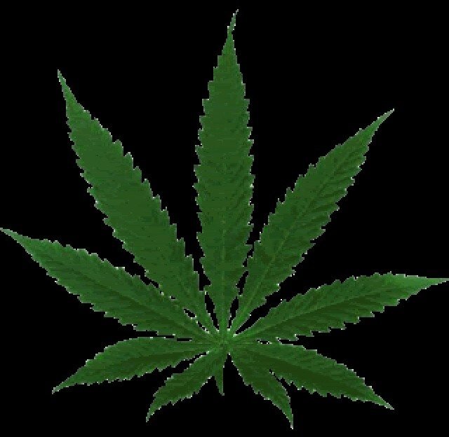 Follow if you're in favor of legalizing medical/recreational marijuana, or decriminalizing marijuana! #medication