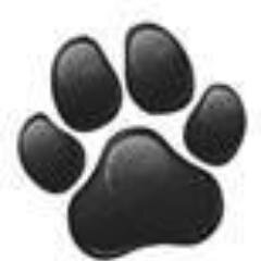 Homemade Healthy Treats for Dogs