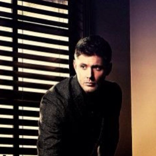 Stay_With_Me5's profile picture. Hunger Games | Supernatural | Superheros 
*agressively ships Destiel*