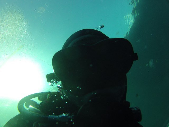 chandlerl's profile picture. 