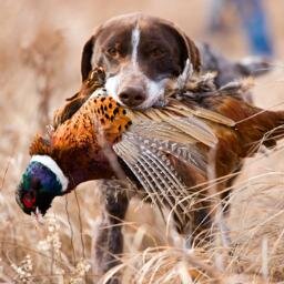 Pheasants Forever and Quail Forever