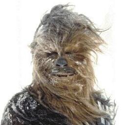 Chewbacccaboy likes video games! :-]