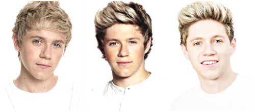 Harry.niall.zayn.Louis.Liam! I love you. I'm directioner! Forever♥