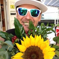 Karl Platt (@plattos) 's Twitter Profile