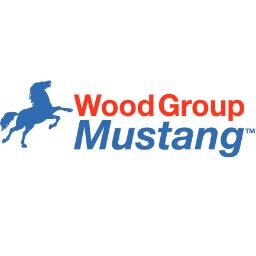 Canada's go-to project-execution provider for the energy industry.