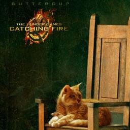 sobreviví a que me ahogaran en un cubo de agua, al hambre y a una explosión, el que los gatos tengamos siete vidas no es un mito. REAL. HIM: mi vida en música