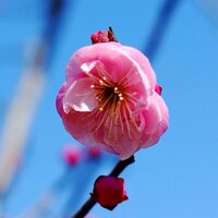 هدى القطيبي (@hqataybi) Twitter profile photo