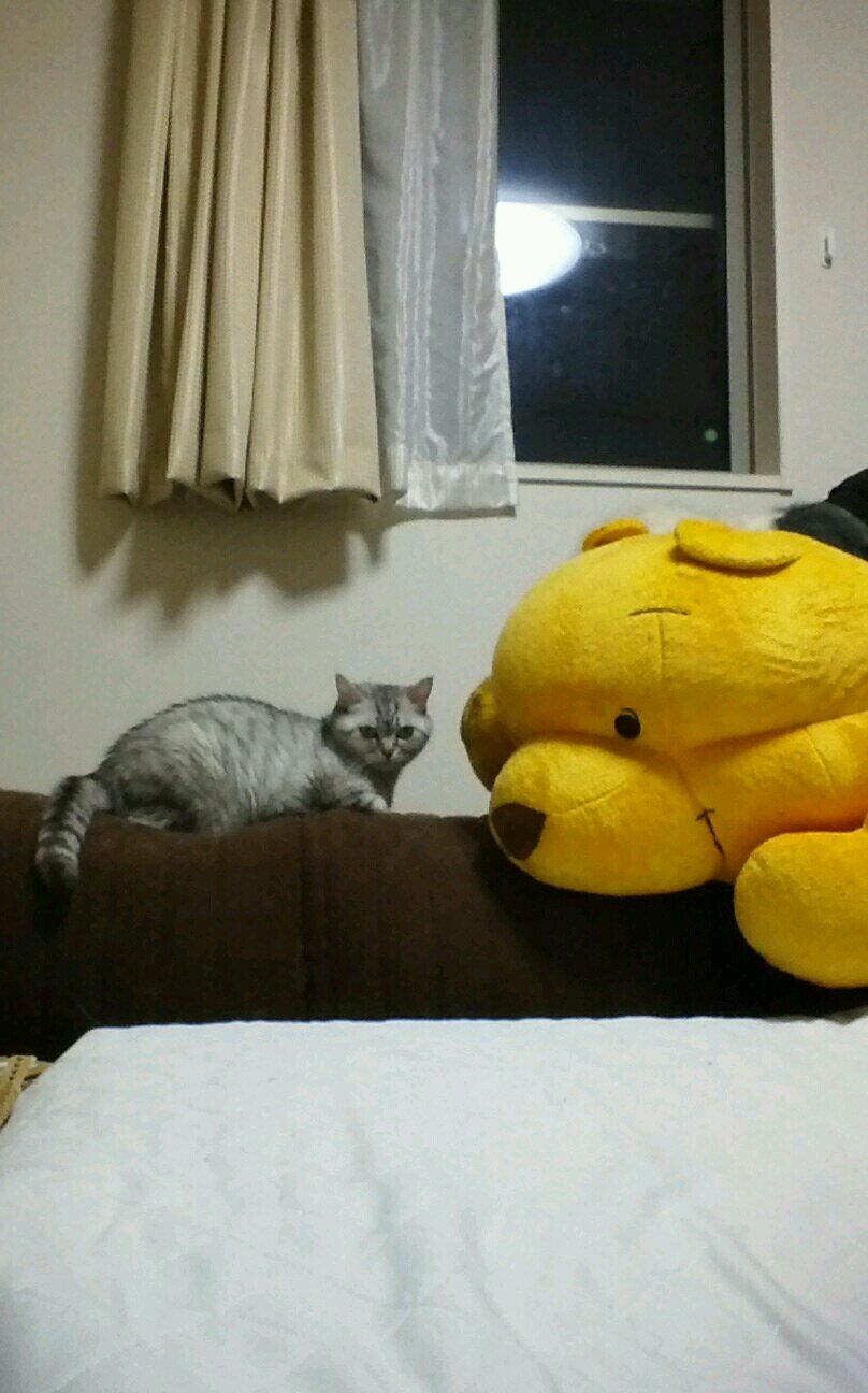 yukihiko6661's profile picture. 日向坂46 齊藤京子推し