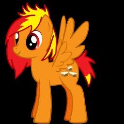13 year old colt with no parents lives at a care home