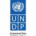UNDP Washington (@UNDPDC) Twitter profile photo