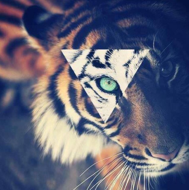 New account  @Nkj12_ .