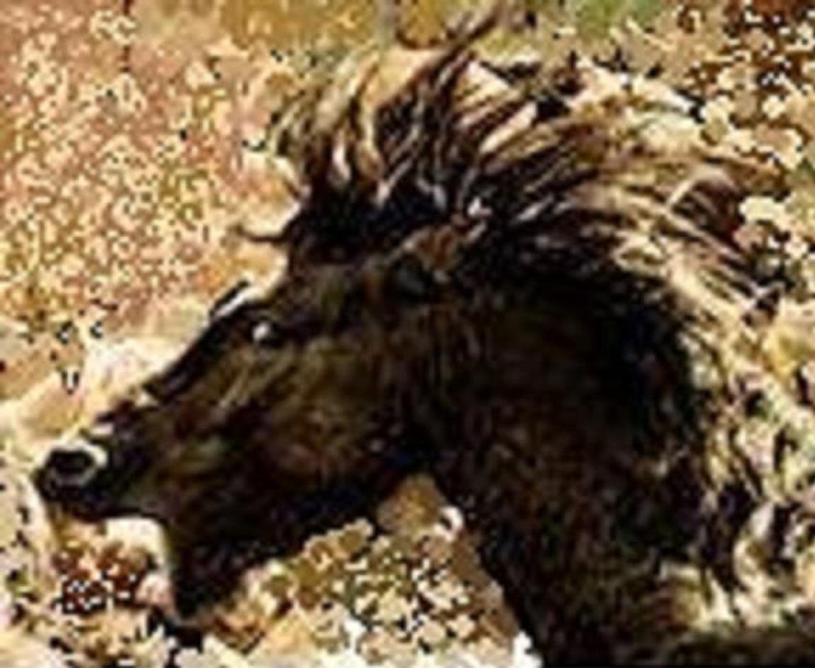 GariglioLuis's profile picture. Va a llegar un día que se me hinchen las p.... y va a ocurrir una desgracia. Dios no lo quiera.