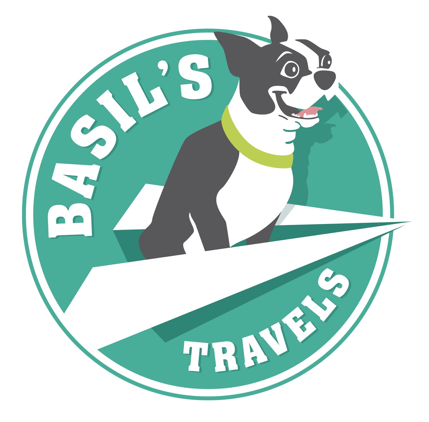 Girl: Blogger, graphic designer and Boston terrier enthusiast! Dog: 6 year old hyper, hipster Boston terrier named Basil.