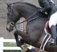 South Forsyth High School Equestrian Team