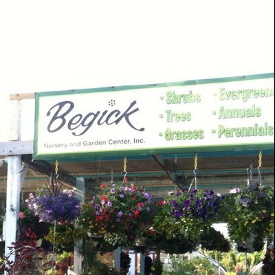 Begick Nursery Begicknursery Twitter Begick Nursery