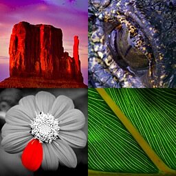 Dallas-based fine art photographer. Fine Art Photography, Home Decor, Etsy!