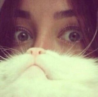 TExtmask__'s profile picture. اصير لك بايو.