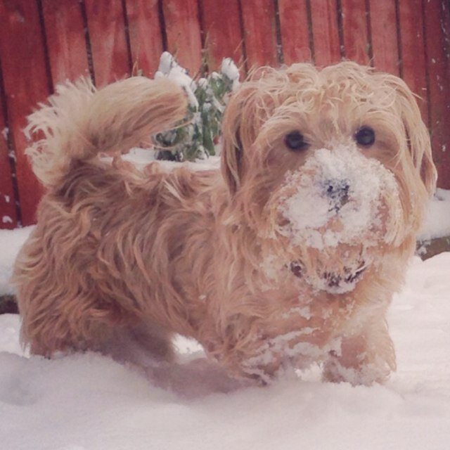 matthewm75's profile picture. 