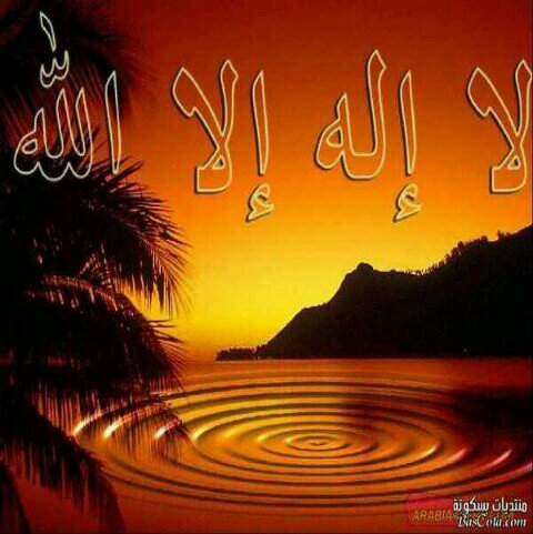 الموقع غير الرسمي لمدينة ساجر..صوت المواطن ومطالبه وأحتياجاته وكل مايساعد في تطوير هذه المدينه